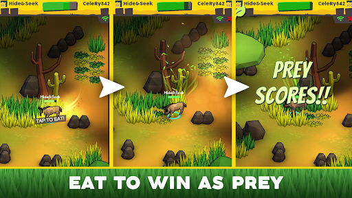 Savanna – Hide and Seek