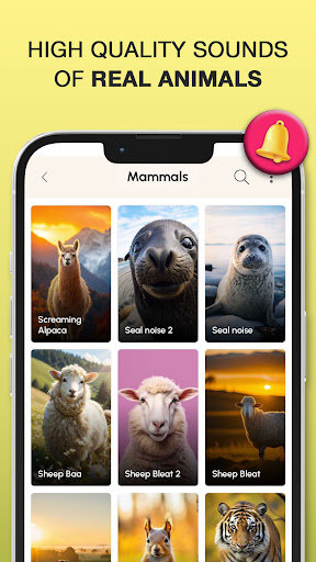Animal Sounds and Ringtones