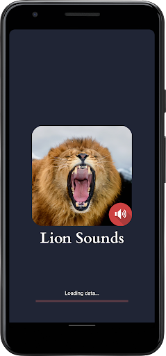 Aslan SəSləNir